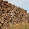 LKW-Ladung Rundholz – Buche, Eiche, Hainbuche – 30 Ster
