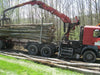 LKW-Ladung Rundholz – Buche, Eiche, Hainbuche – 50 Ster