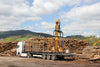 LKW-Ladung Buchen-Rundholz – 60 Ster